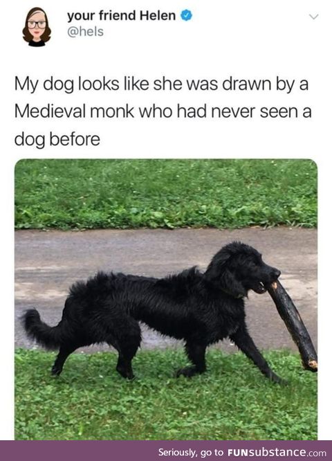 Weird looking dog