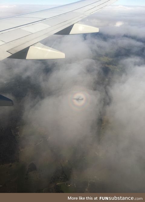 This rainbow around the airplane’s shadow