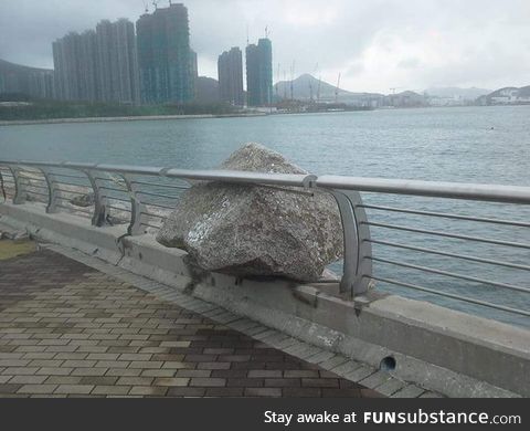 Hong Kong, after the typhoon