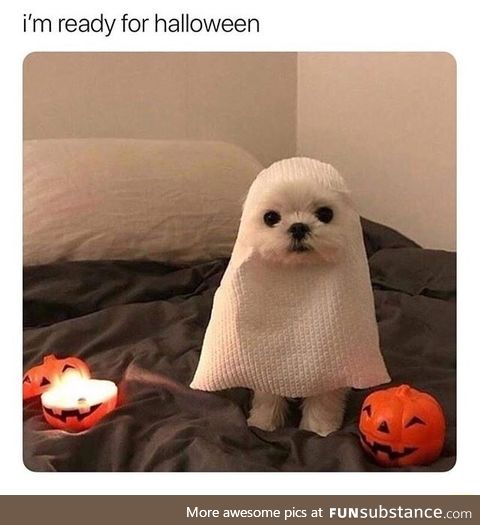 Pupper is a ghost