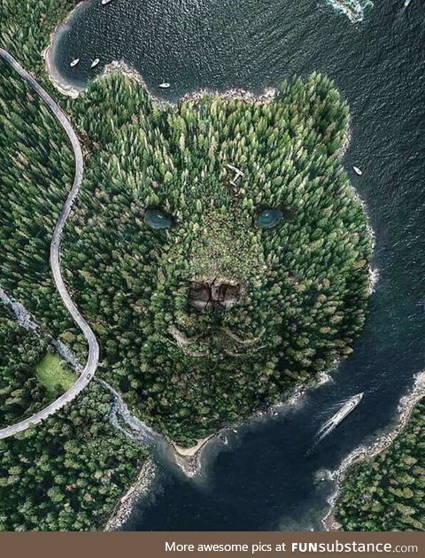 Water Garden in Japan