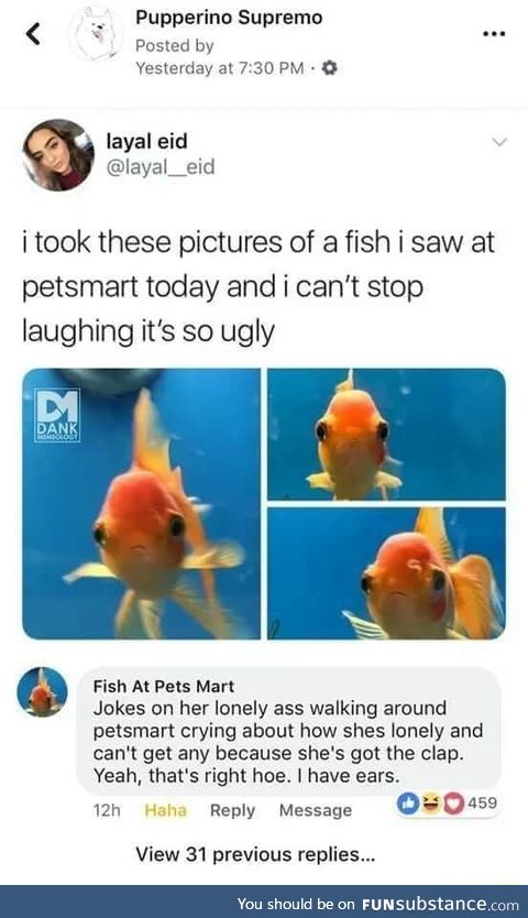 Fish fight back