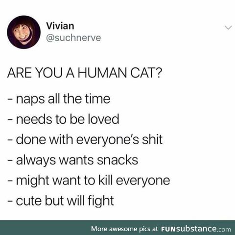 Human cat