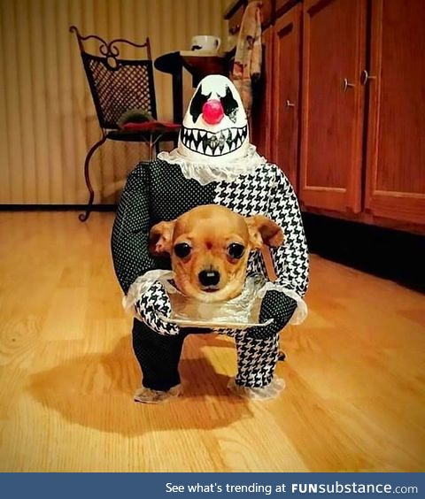 Headless pupper all ready for Halloween