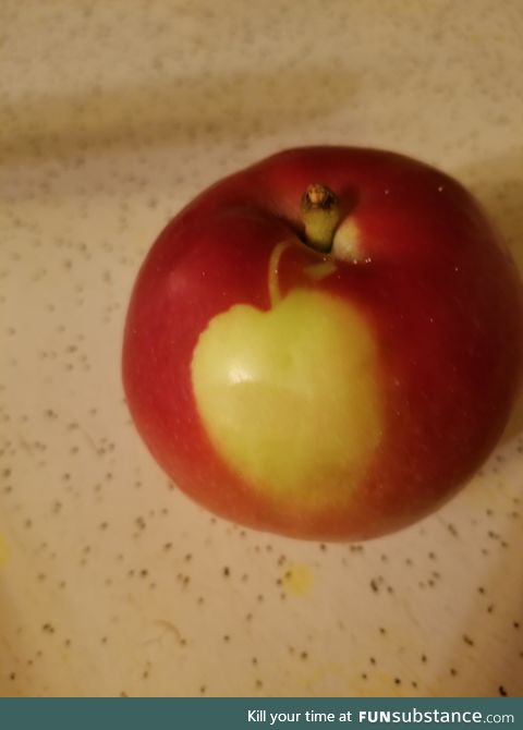 Apple has an apple on it