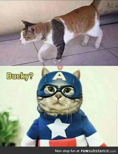 Bucky?