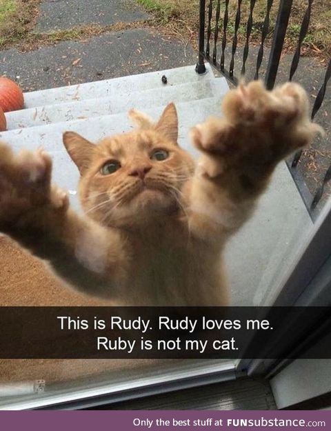 Haha. Hi rudy