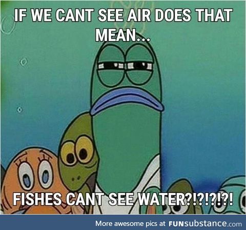 Fish can't see water