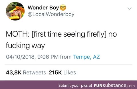 Moth seeing firefly