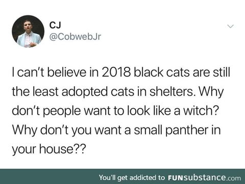 Black cats