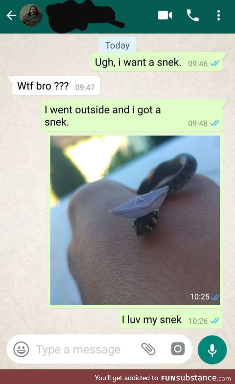 Damn now I want snek too