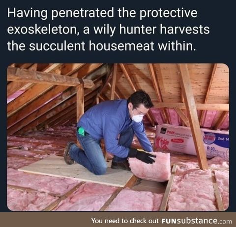 Housemeat