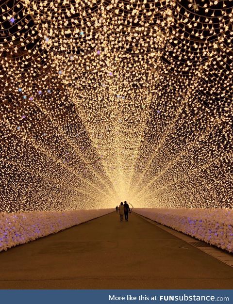 Garden of Lights