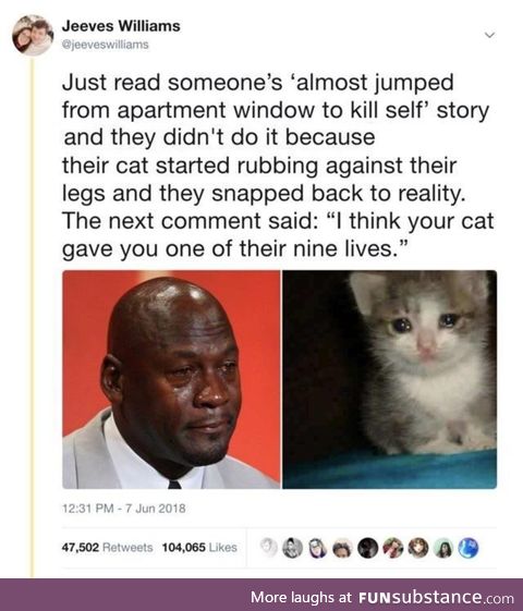 Cat saving lives