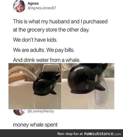 Money whale spent