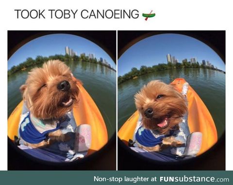 Toby