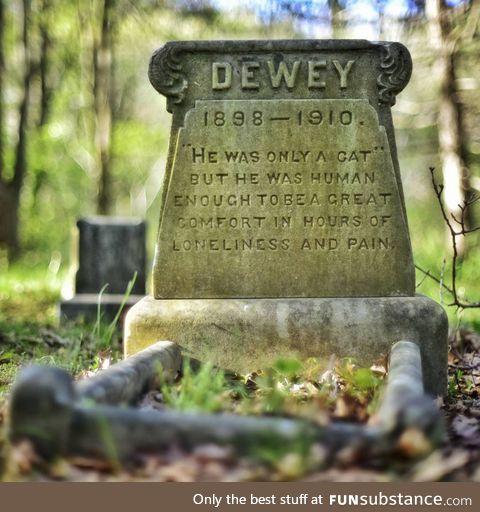 Dewey