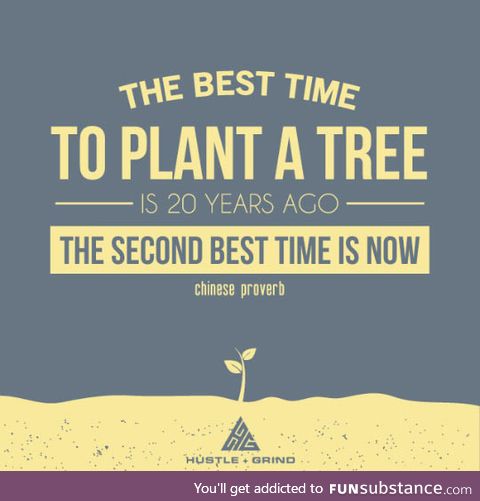 Best time to plant a tree