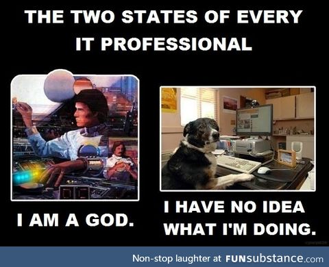 The two states of an IT professional