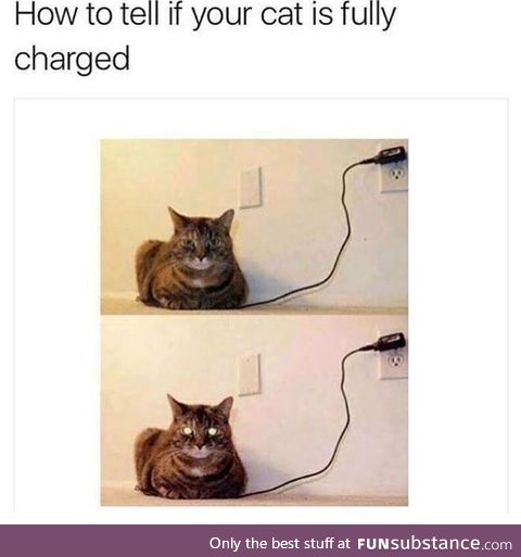 Cat is fully charged.. Please remove plug