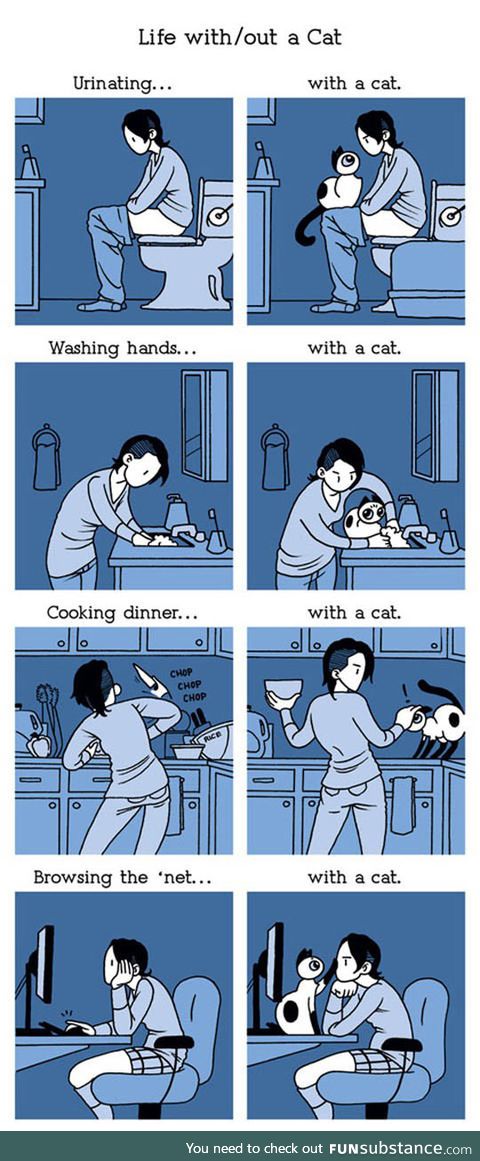 Living with a cat