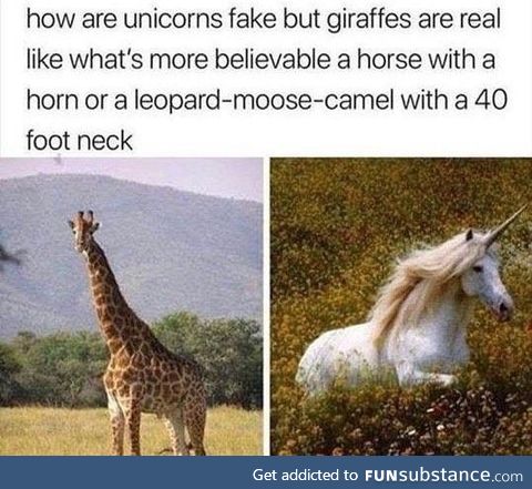 I actually don't believe in giraffes