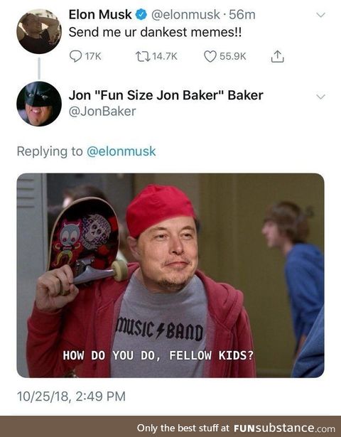 Elon boi