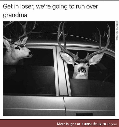 Oh deer!!