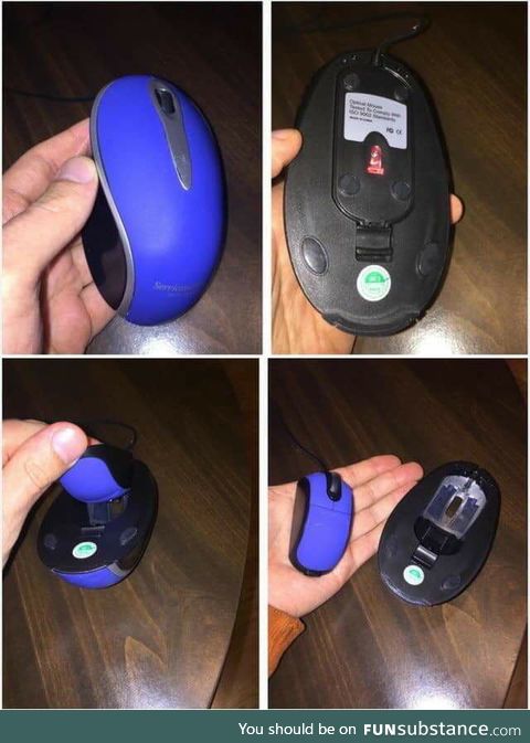 Mouseception