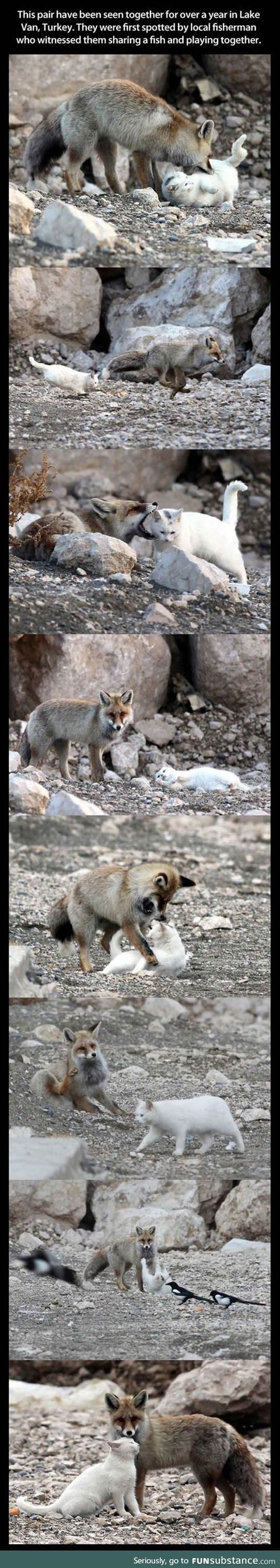 These two are unlikely best friends