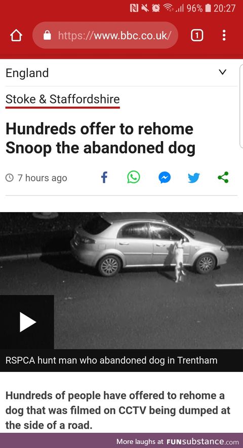 Poor Pupper, hope he gets rehomed *FeelsSub*