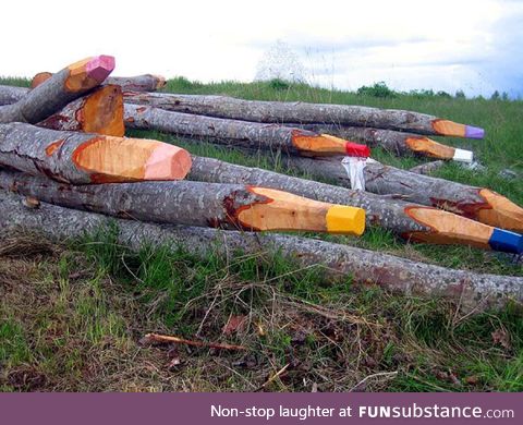 Large sharpened colored pencils