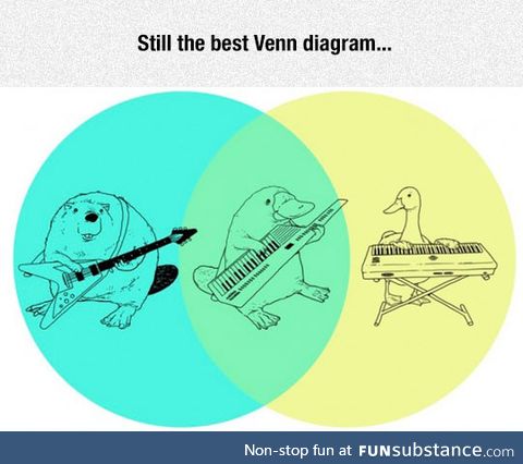 Brilliant venn diagram