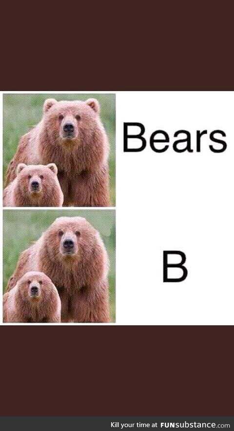 bears without ears , hhhhhh