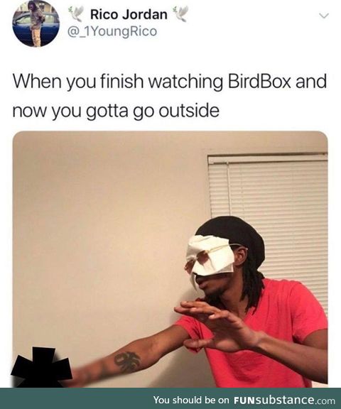 So many birdbox memes