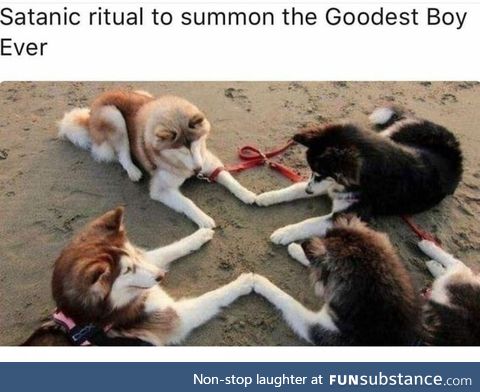 Summon moonmoon