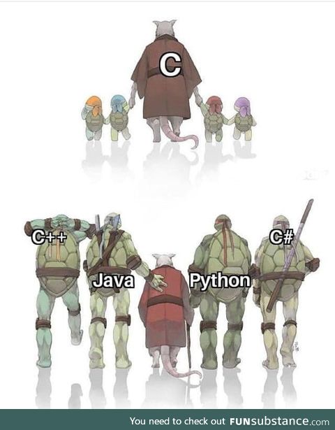 C with Other Programming Languages