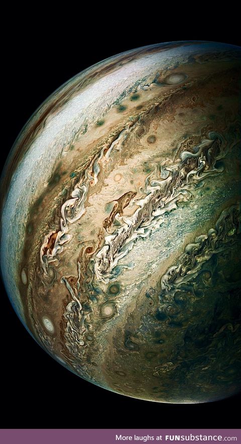 The Dolphin on Jupiter