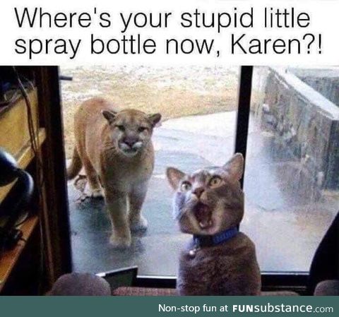 Damnit karen