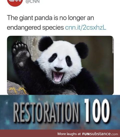 Pandtastic