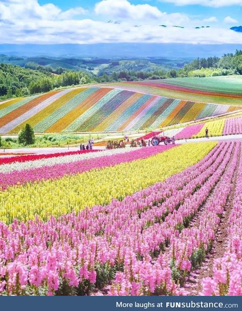 Hokkaido, japan