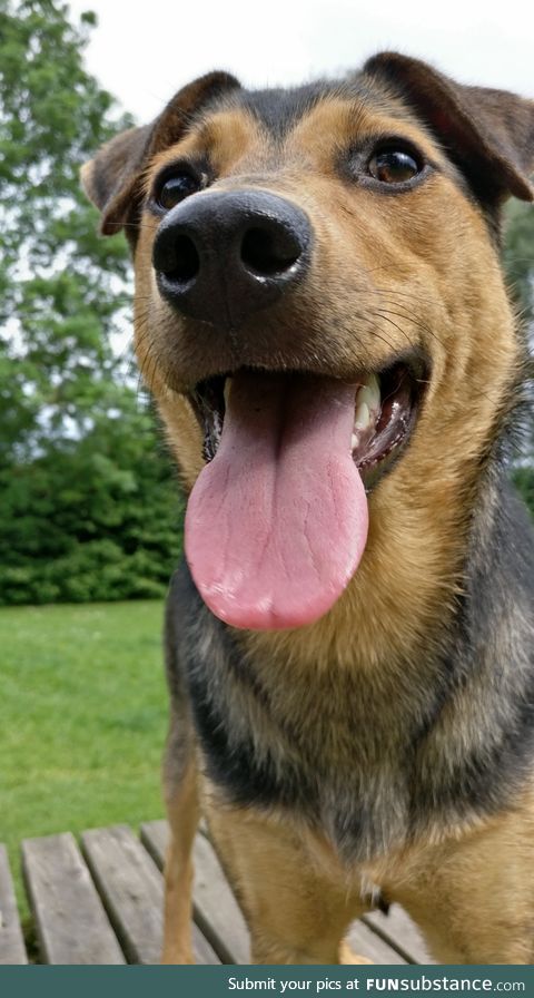 Another pic of our happy girl Yuki