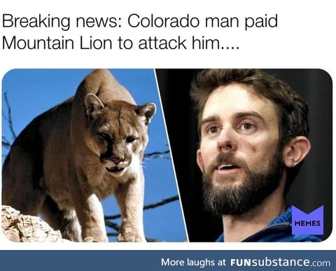 Breaking news colorado man paid mountain lion to attack him