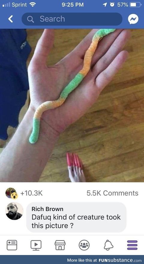 Captioned “the worlds longest gummy worm”