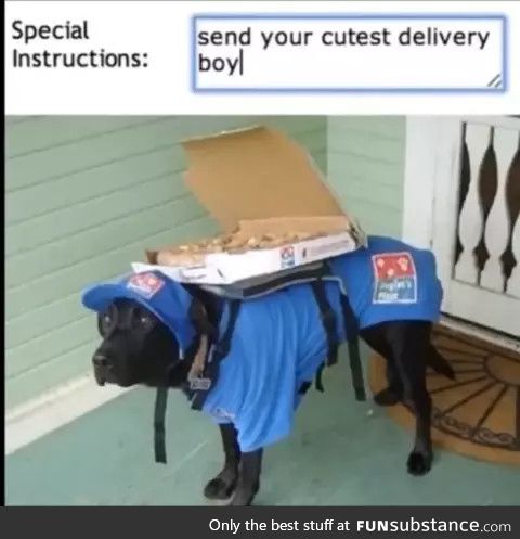 Domino's delivered