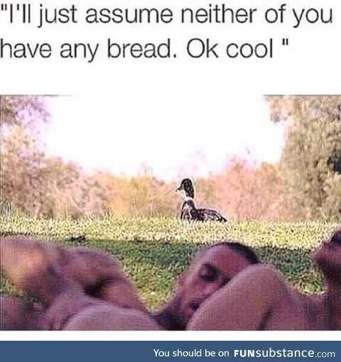 Poor duck only wanted some bread