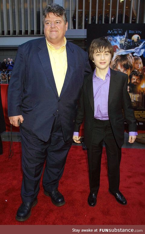 This is a cursed image of beardless Hagrid and crackhead Harry