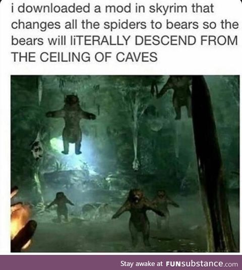 Spider bear!!!!!!