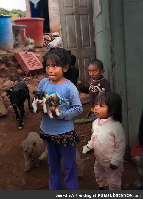 Little girl in Mexico showing our missions group her newborn puppies