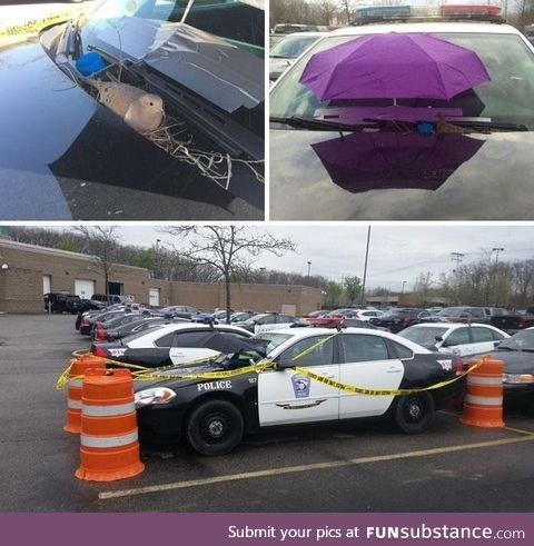 Police department noticed a bird built a nest so they took the cruiser out of commission